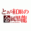 とある紅眼の金属黒龍（レットアイズダークネスメタルドラゴン）