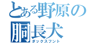 とある野原の胴長犬（ダックスフント）