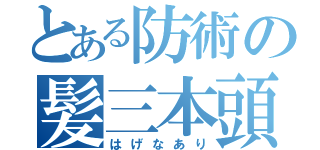 とある防術の髪三本頭（はげなあり）