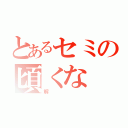 とあるセミの頃くな（解）