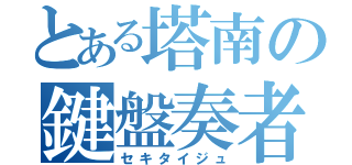 とある塔南の鍵盤奏者（セキタイジュ）