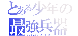 とある少年の最強兵器（インフィニットストラトス）