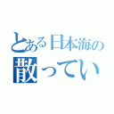 とある日本海の散っていった髪の毛たち…（）