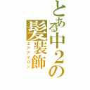 とある中２の髪装飾（エアアイロン）