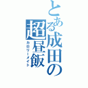 とある成田の超昼飯（カロリーメイト）