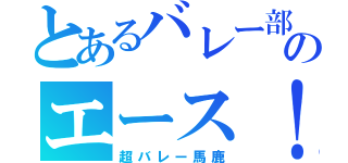 とあるバレー部のエース！（超バレー馬鹿）