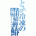 とある冷凍の鮪鯖鰹鰆（さかなたち）