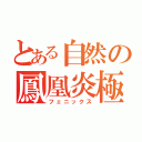 とある自然の鳳凰炎極（フェニックス）