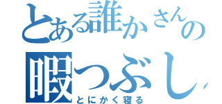 とある誰かさんのの暇つぶし（とにかく寝る）