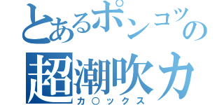 とあるポンコツの超潮吹カメ（カ○ックス）