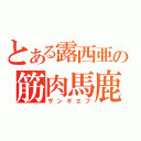 とある露西亜の筋肉馬鹿（ザンギエフ）