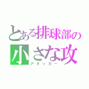 とある排球部の小さな攻撃者（アタッカー）