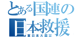 とある国連の日本救援（東日本大震災）