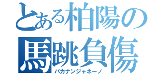 とある柏陽の馬跳負傷（バカナンジャネーノ）