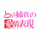 とある姉貴の愛情表現（シスコン）