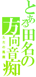 とある田名の方向音痴（ただの馬鹿）