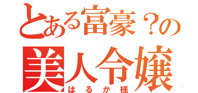 とある富豪？の美人令嬢（はるか様）