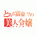 とある富豪？の美人令嬢（はるか様）