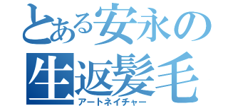 とある安永の生返髪毛（アートネイチャー）