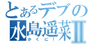 とあるデブの水島遥菜Ⅱ（かくに！）