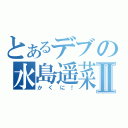 とあるデブの水島遥菜Ⅱ（かくに！）