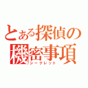 とある探偵の機密事項（シークレット）