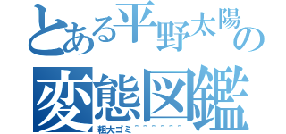 とある平野太陽の変態図鑑（粗大ゴミ＾＾＾＾＾＾）