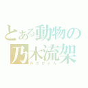 とある動物の乃木流架（ルカぴょん）