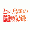 とある鳥類の移動記録（ヒトリタビ）