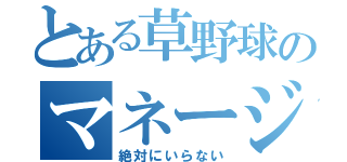 とある草野球のマネージャー（絶対にいらない）