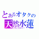 とあるオタクの天然水蓮（ナチュラルリリー）