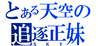 とある天空の追逐正妹（Ｓ Ｋ Ｙ）