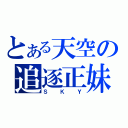 とある天空の追逐正妹（Ｓ Ｋ Ｙ）