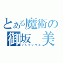 とある魔術の御坂 美琴（インデックス）