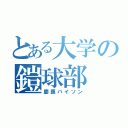 とある大学の鎧球部（慶應バイソン）