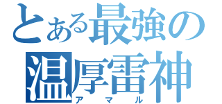 とある最強の温厚雷神（アマル）