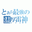 とある最強の温厚雷神（アマル）