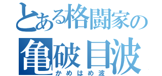 とある格闘家の亀破目波（かめはめ波）