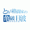 とある格闘家の亀破目波（かめはめ波）