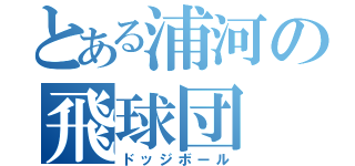 とある浦河の飛球団（ドッジボール）