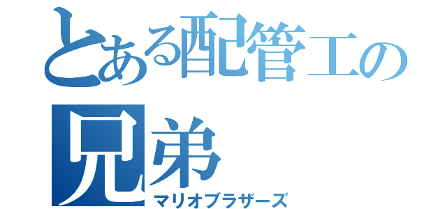 とある配管工の兄弟（マリオブラザーズ）