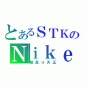 とあるＳＴＫのＮｉｋｅ（城高小天王）