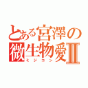 とある宮澤の微生物愛Ⅱ（ミジコン）