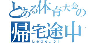 とある体育大会の帰宅途中（しゅうりょう！）