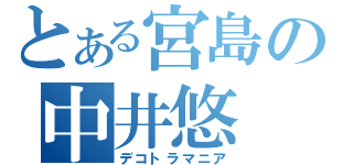 とある宮島の中井悠（デコトラマニア）