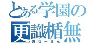 とある学園の更識楯無（おねーさん）