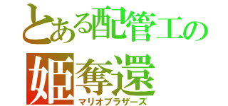 とある配管工の姫奪還（マリオブラザーズ）