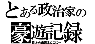 とある政治家の豪遊記録（日本の未来はどこに…）