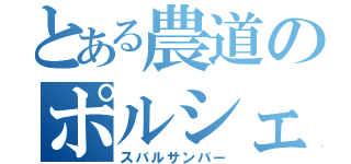 とある農道のポルシェ（スバルサンバー）