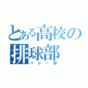 とある高校の排球部（バレー部）